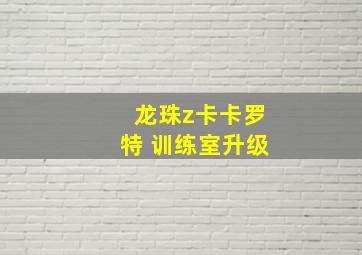 龙珠z卡卡罗特 训练室升级